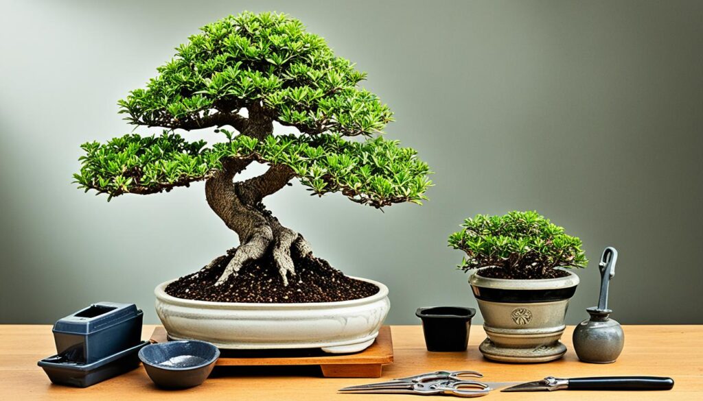 bonsai tree cultivation bonsai tree cultivation