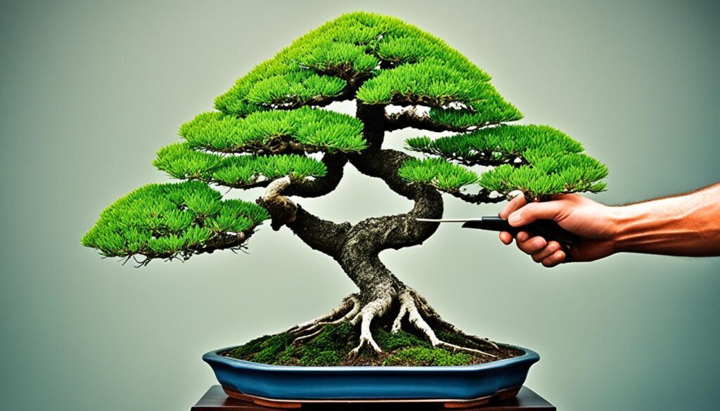 bonsai tree shaping bonsai tree shaping