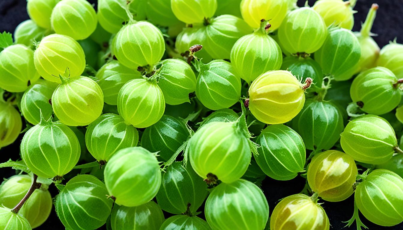 gooseberry